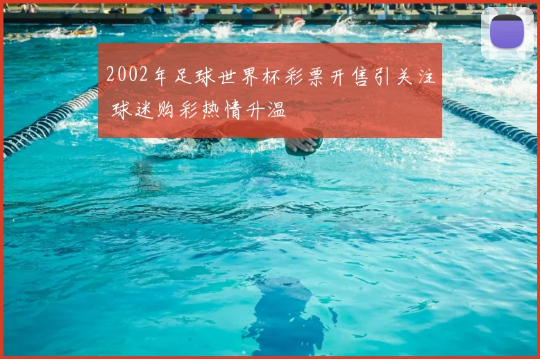2002年足球世界杯彩票开售引关注 球迷购彩热情升温
