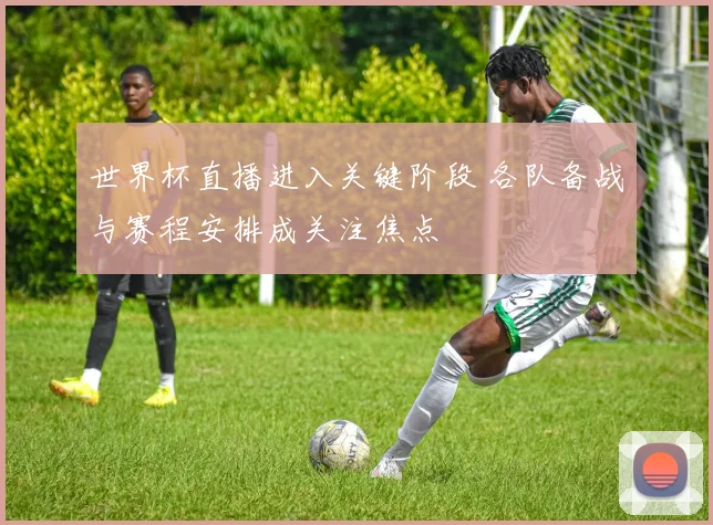 世界杯直播进入关键阶段 各队备战与赛程安排成关注焦点